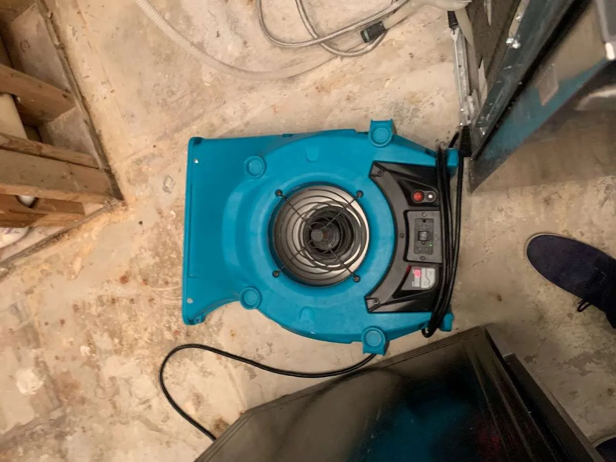 Air mover drying equipment for Mold Remediation & Removal in Ellwood City